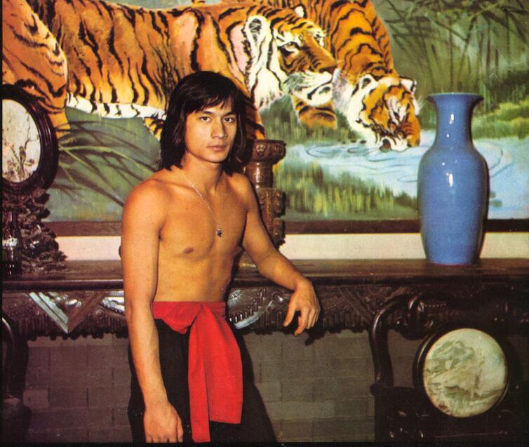 Alexander Fu Sheng Movies